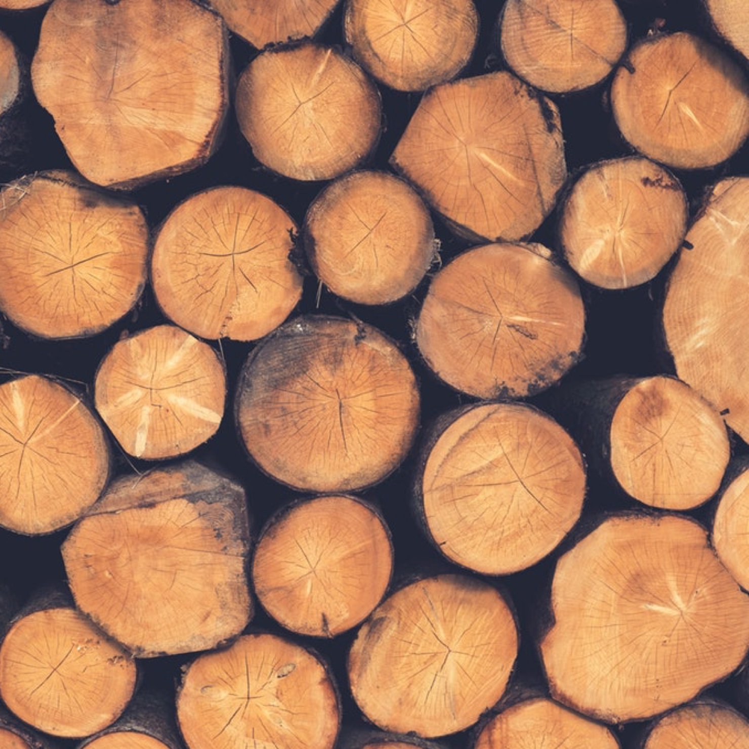 Лесные платформы | Логистика 1520